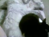 052008212756.jpg