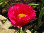 DSCF0076