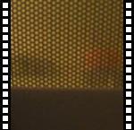 DSCF3758