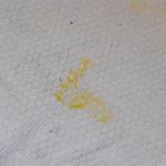 DSCF0057