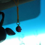 DSCN0892.JPG