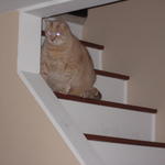 powershot pics 123