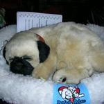 jasmine b-day x-mas 096.jpg