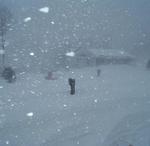 Blizzard 2005