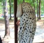 DCP_6165.JPG