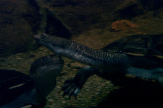 DCP_6813.JPG