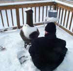 Snow  2001