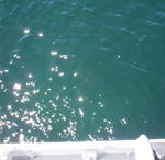 DCP_0063.JPG