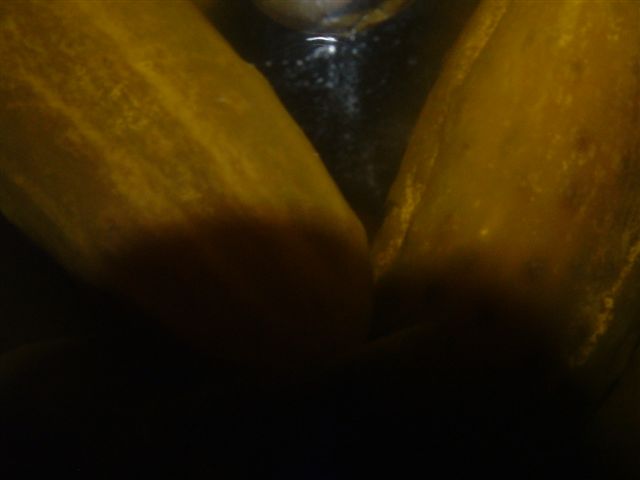 mikes 27th bday 2006 028