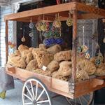 carnival cruise 2006 112