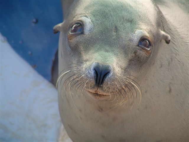 san diego 2004 087