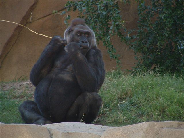 san diego 2004 312
