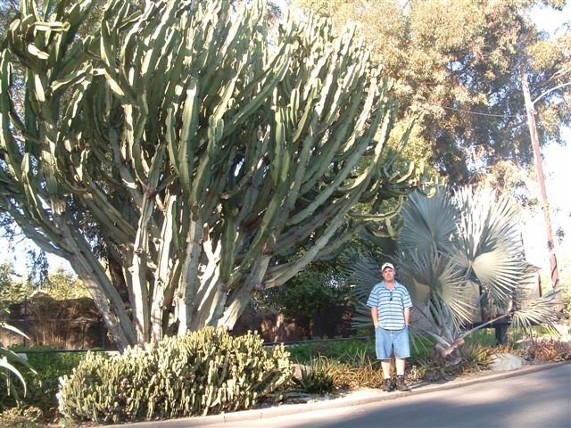 san diego 2004 546