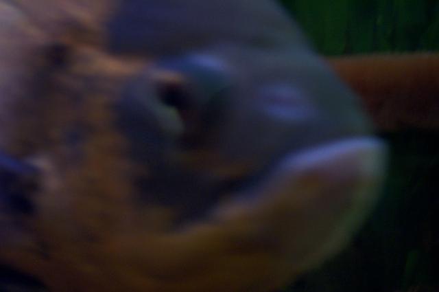 DCP_1213.JPG