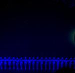DCP_3354.JPG