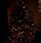 DCP_3686.JPG