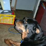 new camera rehersal 059