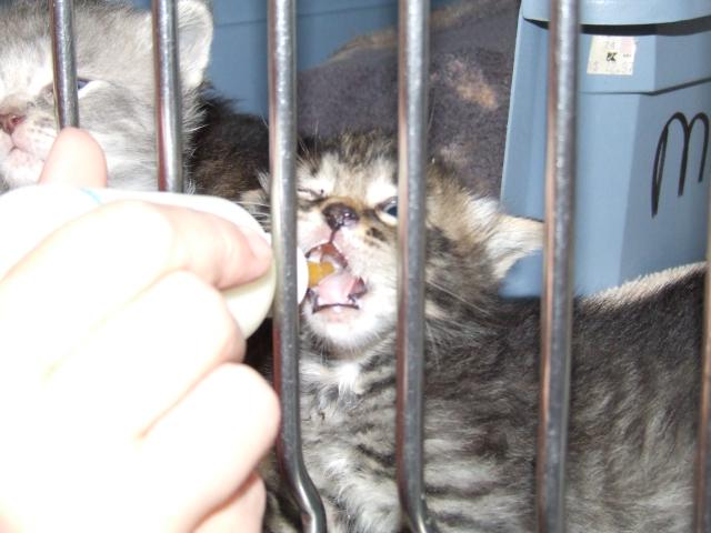 DSCF0345.JPG