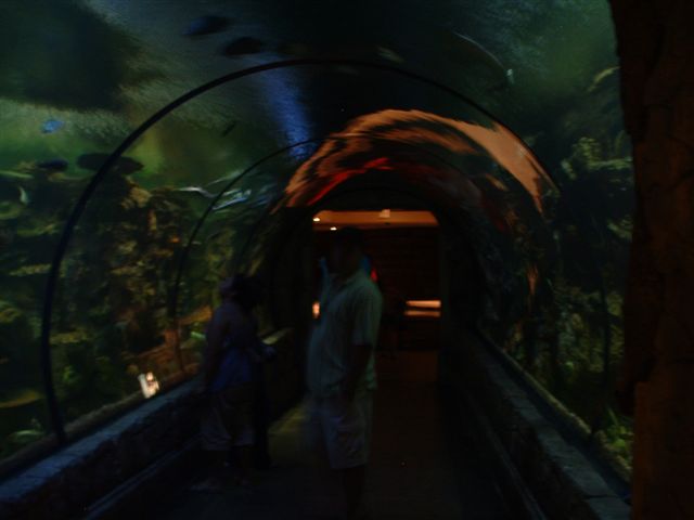 las vegas 2006 258