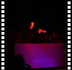 Fantastic Flower Water Show at The Wynn