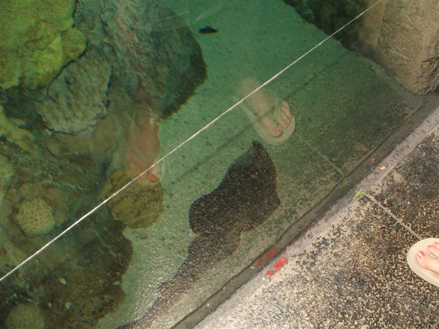 DSCF4518
