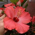 mikes scavenger hunt 021