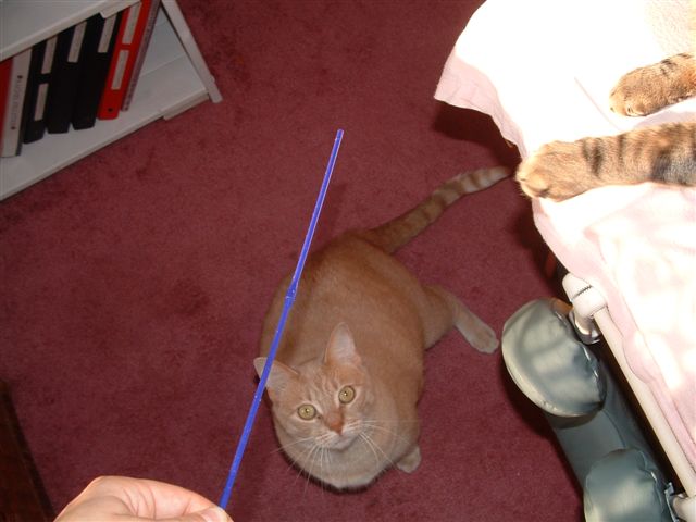 rachels scavenger hunt 022