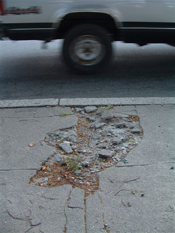 sidewalk crack (1)