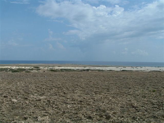 DSCF0127