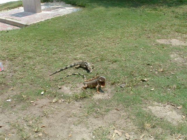 DSCF0028