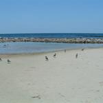 DSCF0206