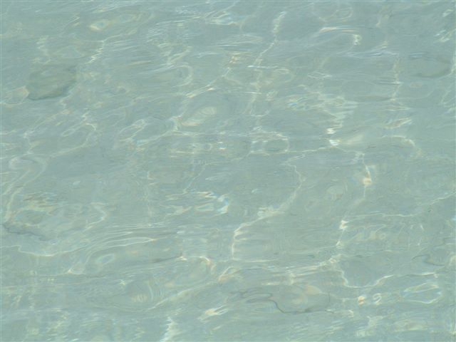 DSCF0209