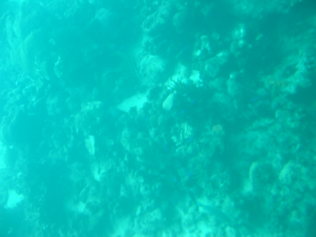 DSCF0338