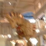 DSCF0023