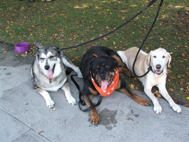 Three Old Ladies