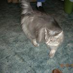 Scavenger Hunt 2 005