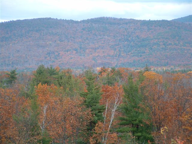 white mountain anniv 016