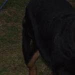 DSCF2706.JPG