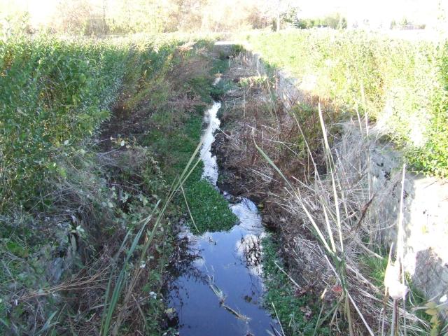 DSCF2147.JPG
