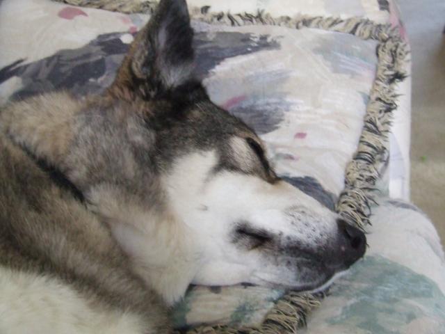 DSCF2357.JPG
