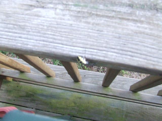 DSCF1740.JPG