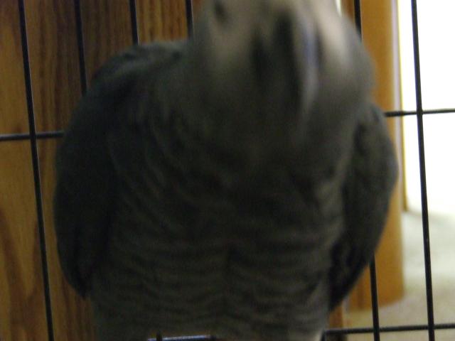 DSCF2132.JPG