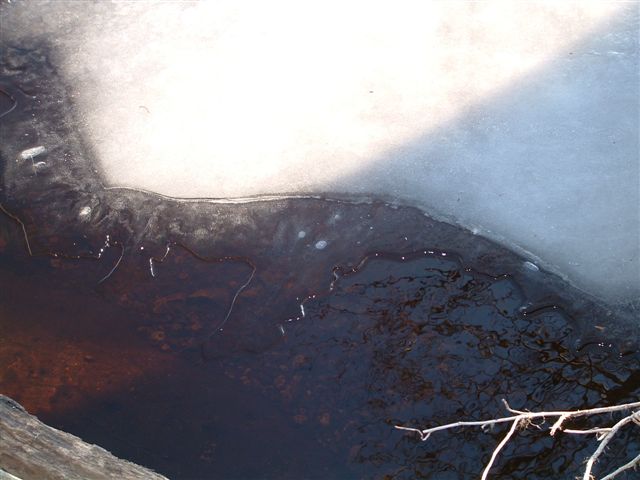 water frozen in midstream (1)