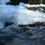 water frozen in midstream (11)