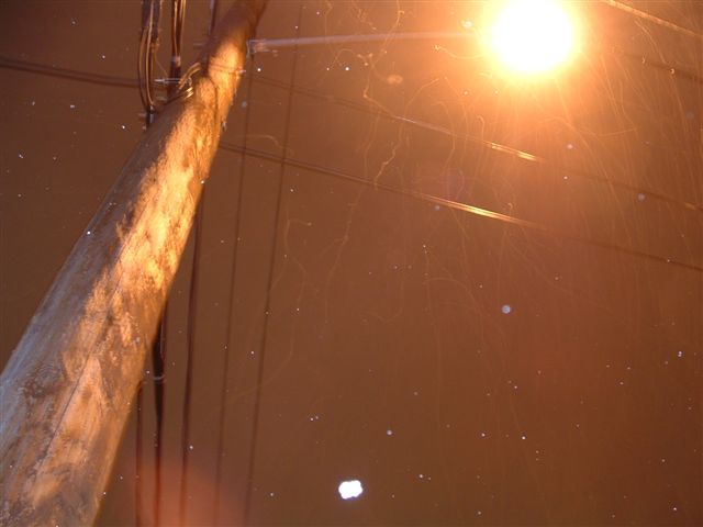 midnight snow (6)