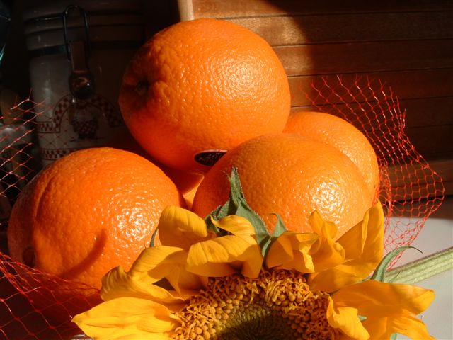 an all orange photo