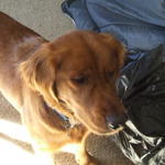 DSCF2990.JPG
