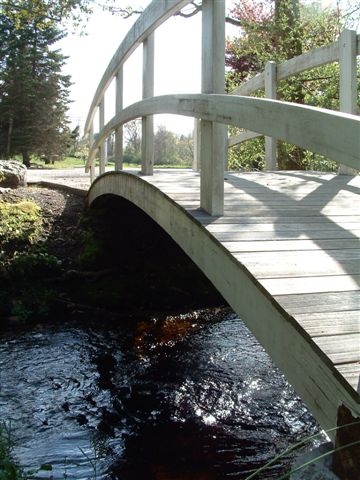 A BRIDGE (3)