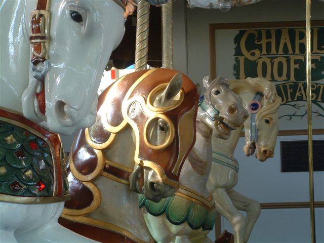 PHOTO FINISH A CAROUSEL HORSE