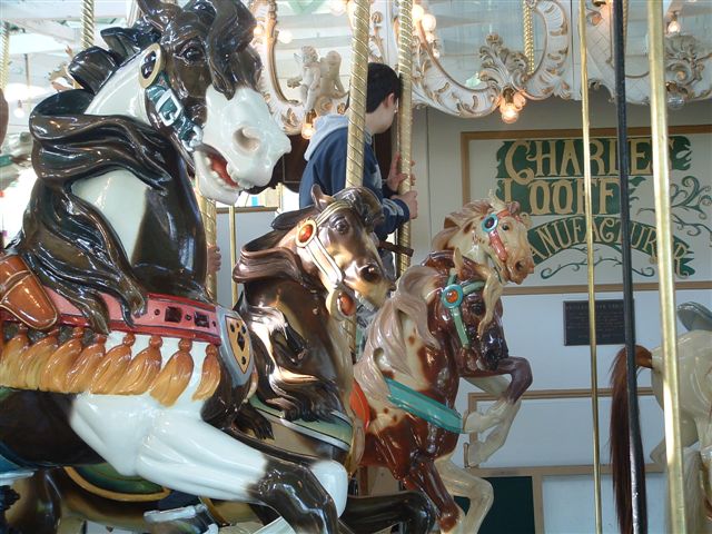 PHOTO FINISH A CAROUSEL HORSE (4)